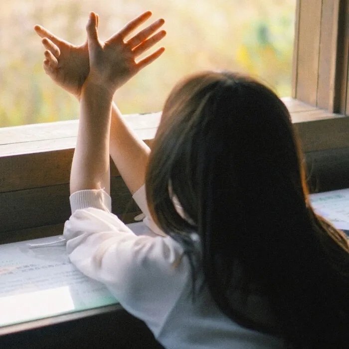 继承人封面